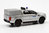 Ford Ranger Pick-up Truck silbermetallic Polizei Spezialeinsatzkommando SEK-GSG9-SWAT BUSCH